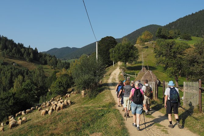 Village Life in Transylvanian Carpathian Mountains - 8 Days - Health and Safety Considerations