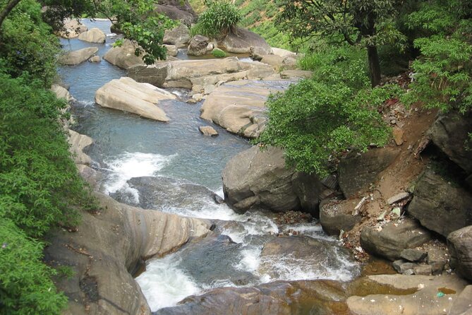 Village Lifestyle Tour Review: An Unforgettable Experience - Exceptional Communication and Service