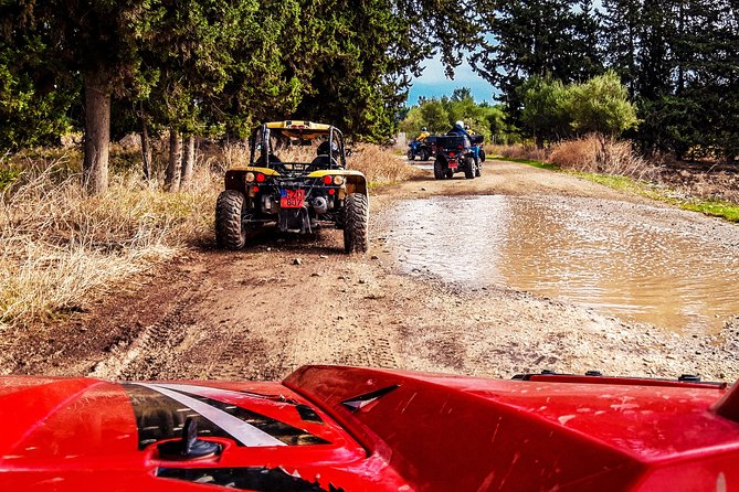 Village & Mountain Buggy Safari in Paphos - Inclusions and Highlights
