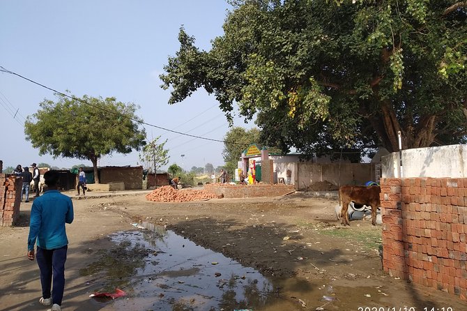 Village Tour - Personalized Guidance
