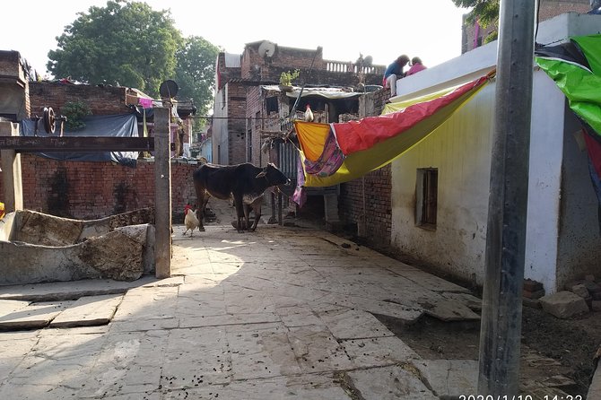 Village Tour - Pickup Arrangements