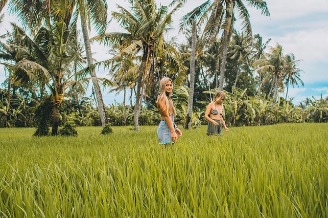 VILLAGE TOUR & RICE FIELDS TREKKING Jambangan Bali - Meeting and Pickup