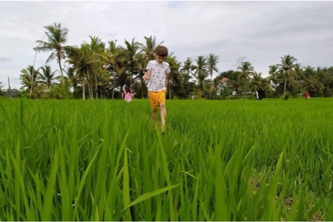 VILLAGE TOUR & RICE FIELDS TREKKING Jambangan Bali - Confirmation and Accessibility