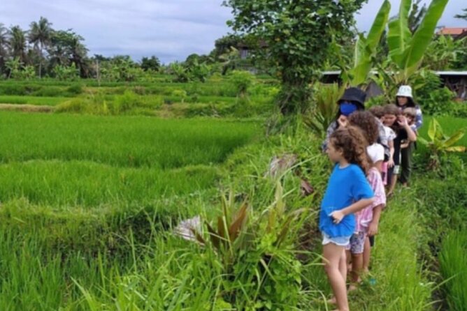 VILLAGE TOUR & RICE FIELDS TREKKING Jambangan Bali - Key Points