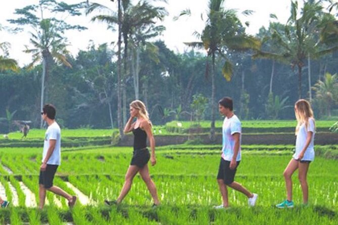 VILLAGE TOUR & RICE FIELDS TREKKING Jambangan Bali - Inclusions