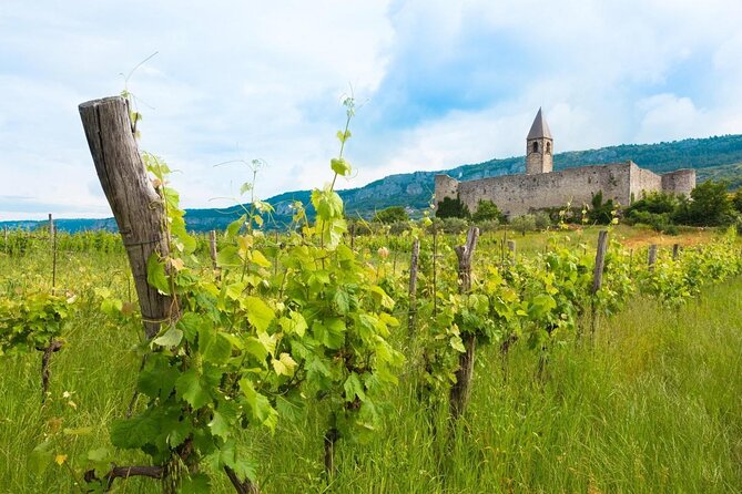 Village Traditions: Socerb & Hrastovlje - Key Points