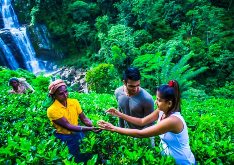 Village Trekking Tour at Ramboda - Cancellation and Refund Policy