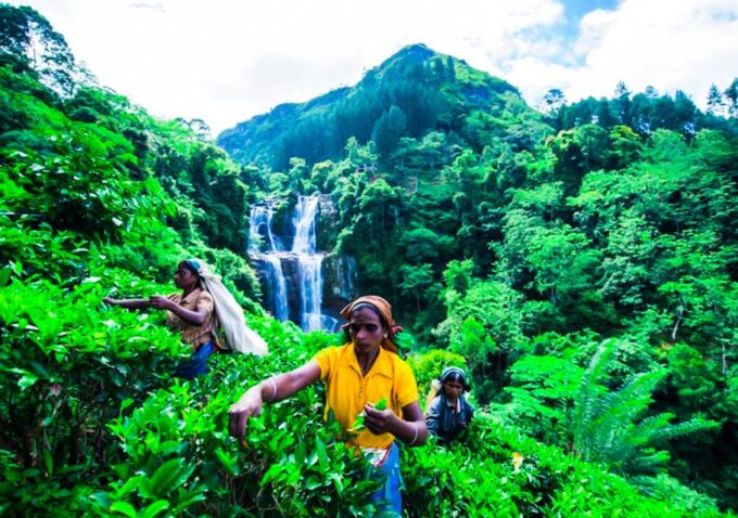 Village Trekking Tour at Ramboda - Recap