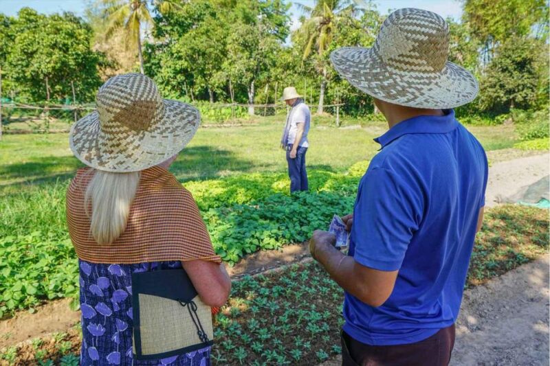 Village Walking & Cooking Class in Siem Reap - Pickup and Schedule