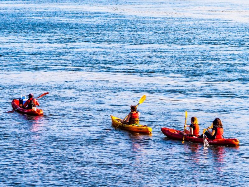 Villajoyosa: Guided Kayak Excursion With Snorkeling - Key Points
