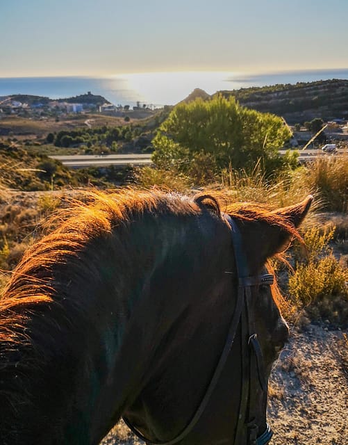 Villajoyosa Horseback Riding in the Mountains With Sea Views - Duration Options