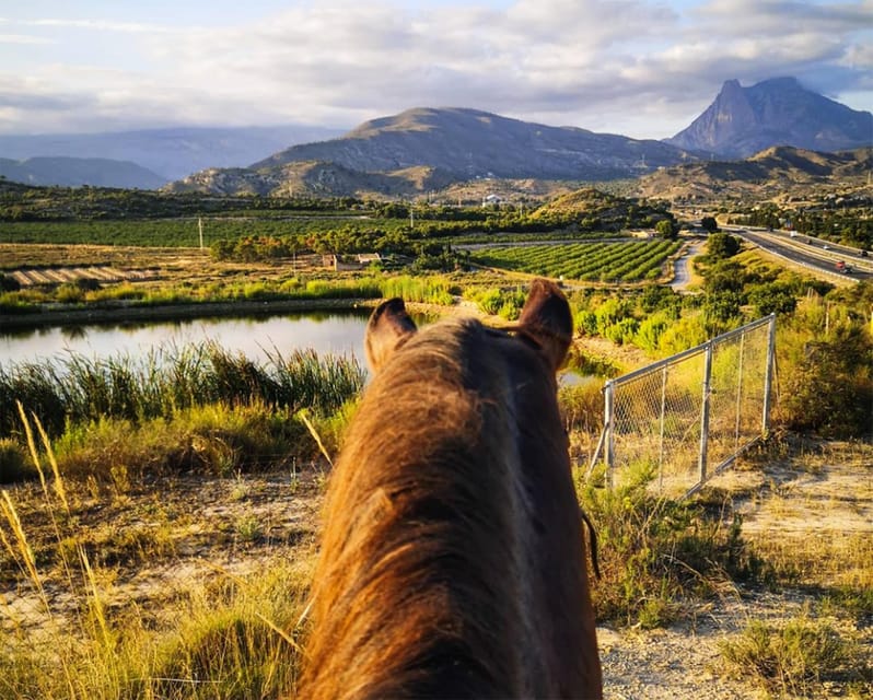 Villajoyosa Horseback Riding in the Mountains With Sea Views - Suitability and Age Requirement