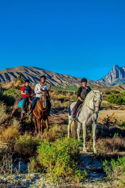 Villajoyosa Horseback Riding in the Mountains With Sea Views - Group Size