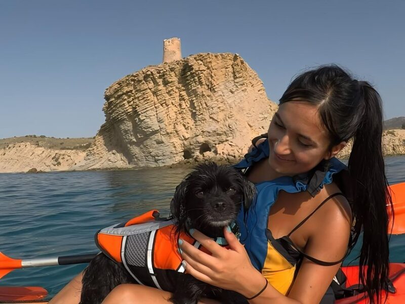 Villajoyosa: Kayaking With the Mans Best Friend, Your Dog - Canine Kayak Familiarization