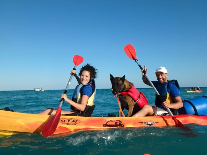 Villajoyosa: Kayaking With the Mans Best Friend, Your Dog - Kayak Specifications and Safety