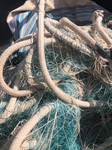 Villajoyosa: Seafood Route and Fish Auction. - Itinerary Highlights