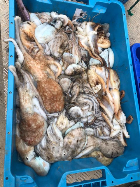 Villajoyosa: Seafood Route and Fish Auction. - Tasting the Fresh Catch