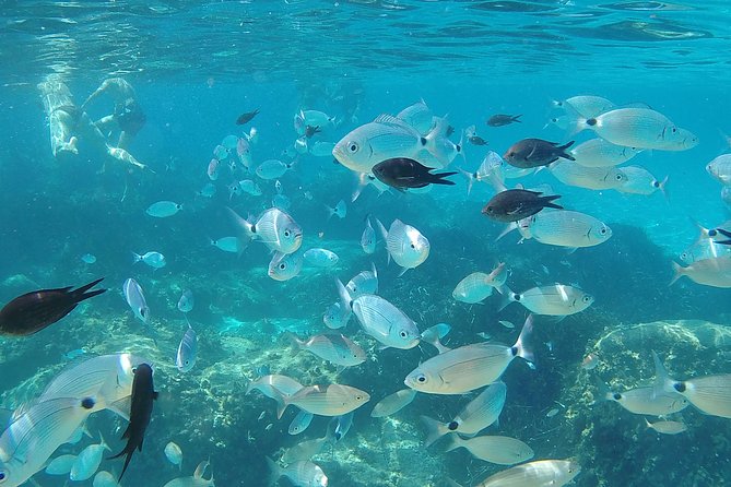 Villasimius Beaches Day Trip From Cagliari - Booking and Availability