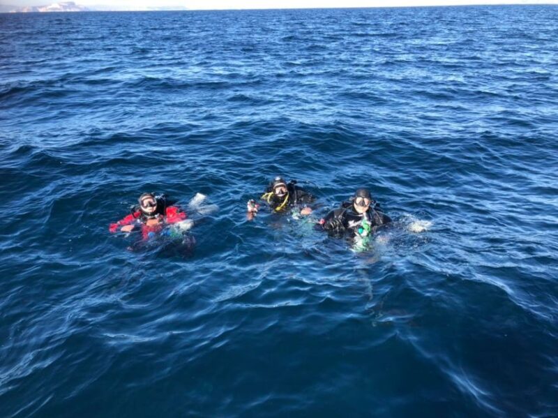 Villasimius: Capo Carbonara Marine Park Diving Tour - Booking Information
