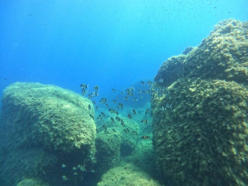 Villasimius: Scuba Dive in Capo Carbona Without Certificate - Itinerary and Transportation