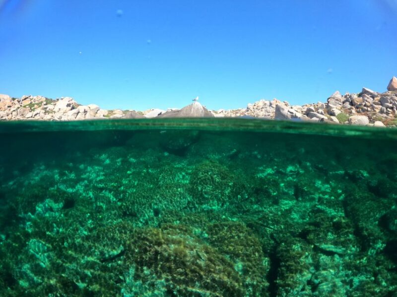 Villasimius: Scuba Dive in Capo Carbona Without Certificate - Diving Experience and Safety