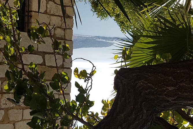 Villefranche Shore Excursion: 6 Hrs Private Tour of Nice, Eze and Monaco - Circling the Formula 1 Track