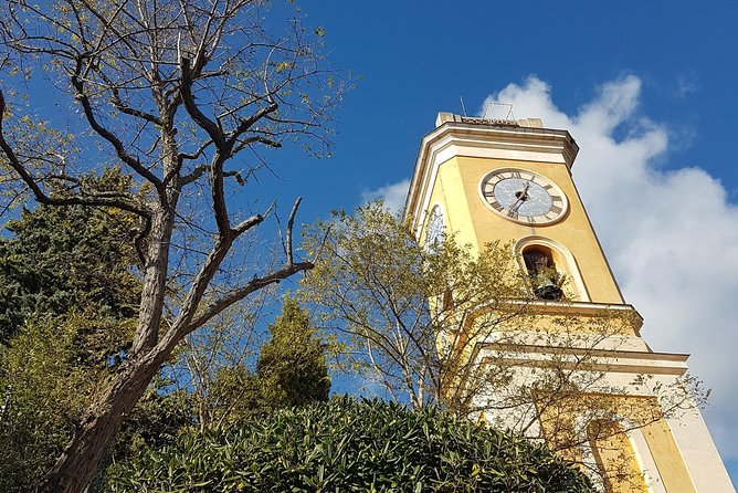 Villefranche Shore Excursion: 6 Hrs Private Tour of Nice, Eze and Monaco - Customizing the Itinerary