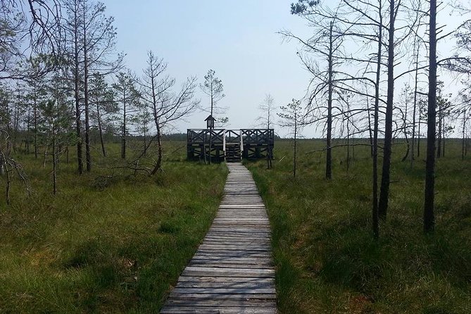 Vilnius Day Trip to Dzukija National Park Including Grutas Park - Experience Highlights
