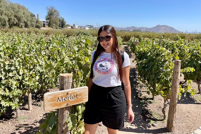 Viña Concha Y Toro Premium Tour (Half Day) - Customer Feedback