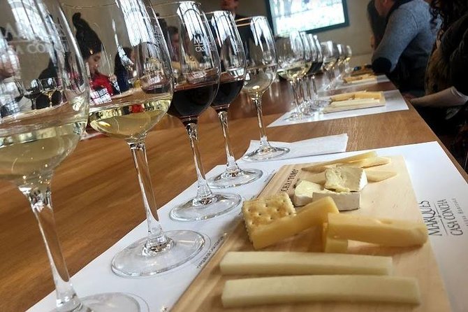Viña Concha Y Toro Premium Tour (Half Day) - Booking Confirmation