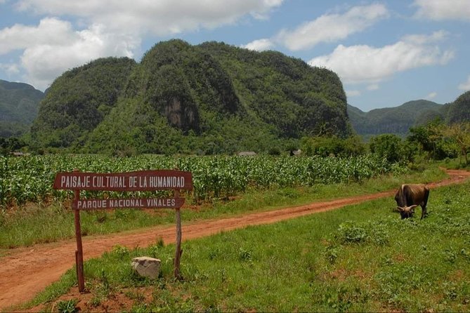 Viñales Horse Tour - Included Amenities