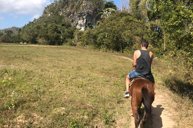 Viñales Horse Tour - Participation Requirements