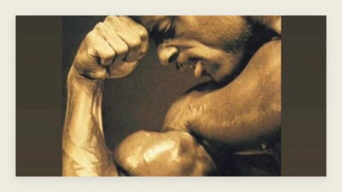 Vince Taylor Bodybuilding Experience - Meeting Point Instructions