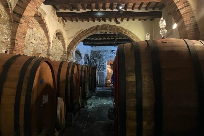 Vinci E-Bike Tour in Leonardos Chianti - About Your Stay