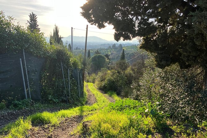 Vinci E-Bike Tour in Leonardos Chianti - E-Bike Features