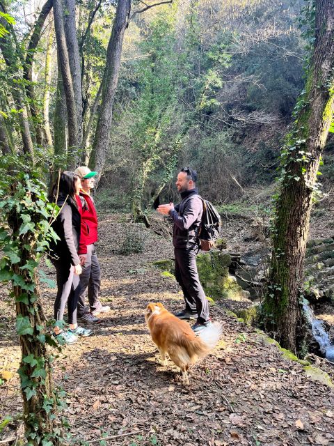 Vinci: Leonardo Da Vincis Meditation Path - Requirements and Recommendations