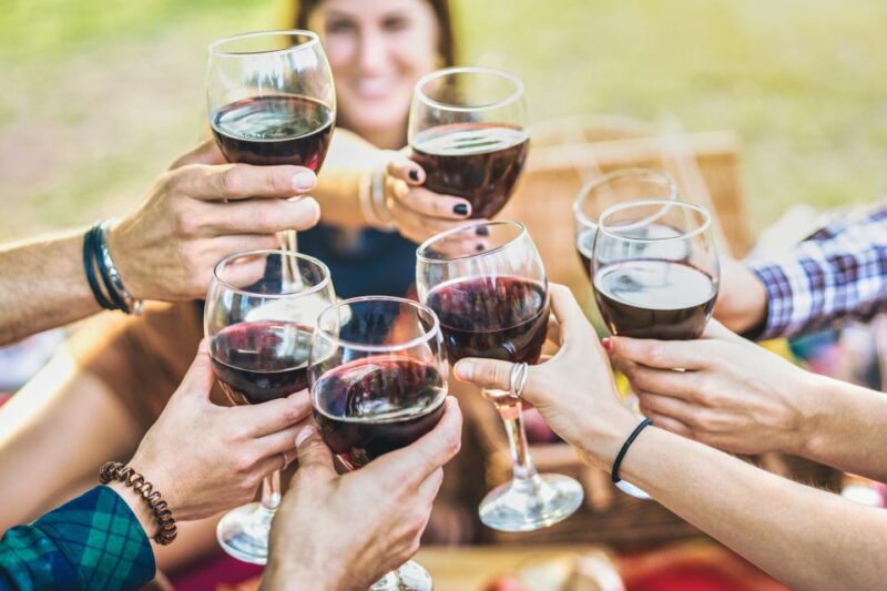 Vinci: The Footsteps of Leonardo and Wine Tasting Tour - Key Points