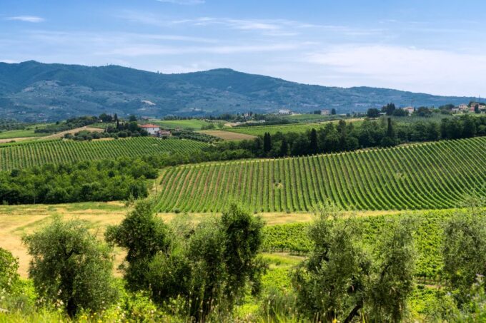 Vinci: The Footsteps of Leonardo and Wine Tasting Tour - Frequently Asked Questions