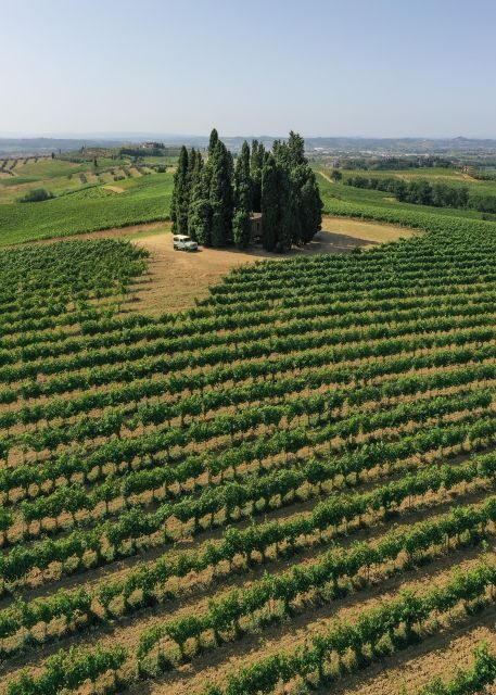 Vinci: Wine-Experience Among the Tuscan Hills - Scenic Views of the Tuscan Hills