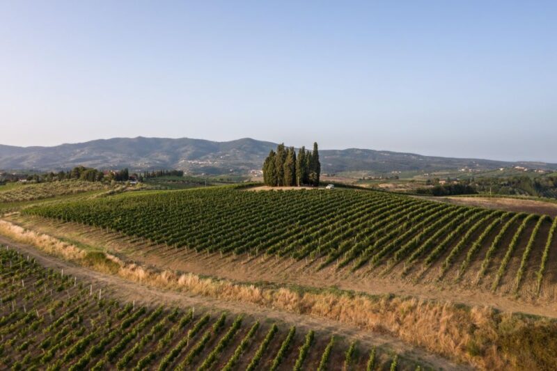 Vinci: Wine-Experience Among the Tuscan Hills - Authentic Tuscan Flavors