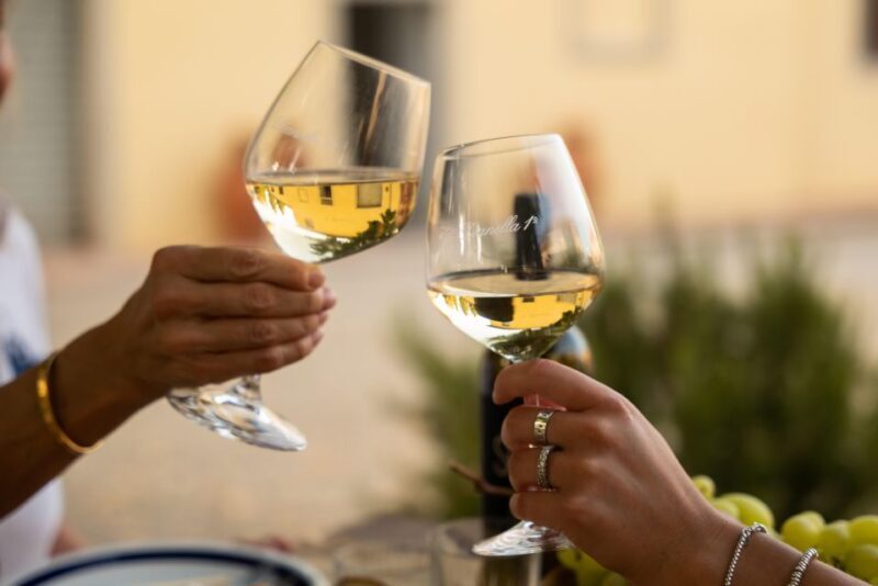 Vinci: Wine-Experience Among the Tuscan Hills - Booking Your Experience