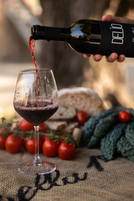 Vinci: Wine-Experience Among the Tuscan Hills - Customer Experiences and Reviews