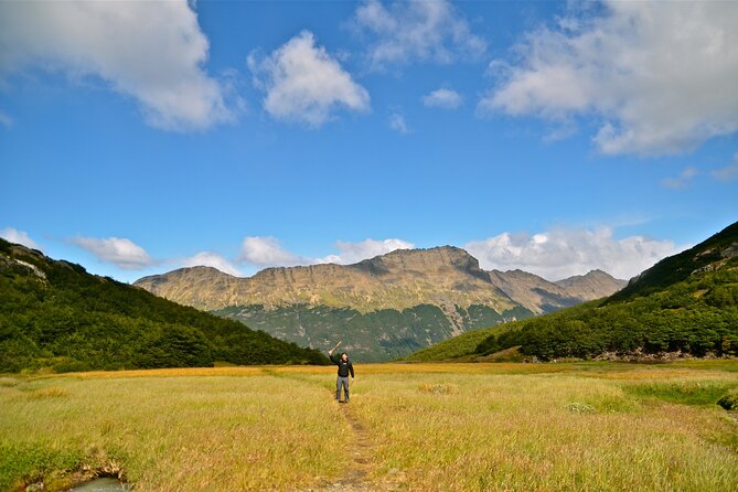 Vinciguerra Glacier Small Group Trek - Tempanos Lagoon and Andorran Valley