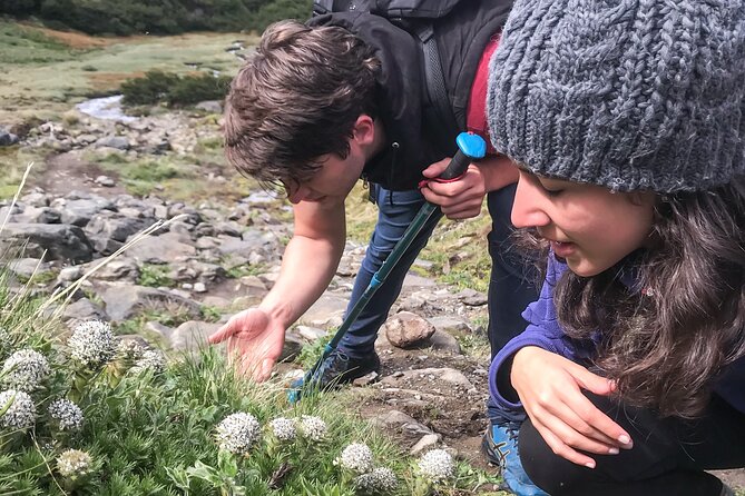 Vinciguerra Glacier Small Group Trek - Meeting and Pickup Information