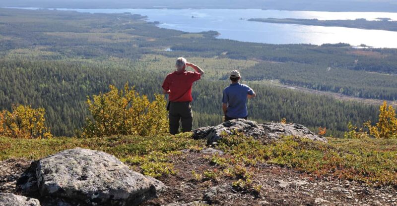 Vindelfjäll Nature Reserve: a Walk Through Reindeer Country - Good To Know