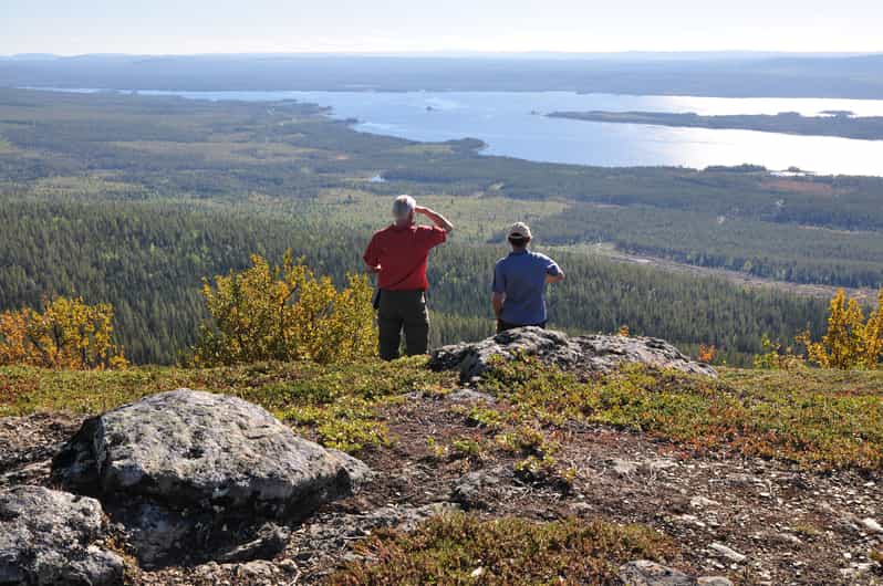 Vindelfjäll Nature Reserve: a Walk Through Reindeer Country - Experience and Itinerary