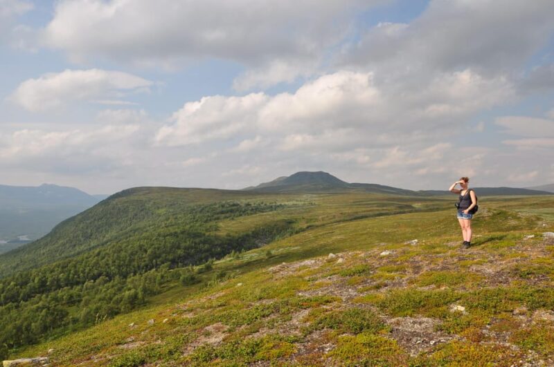 Vindelfjäll Nature Reserve: a Walk Through Reindeer Country - Guide and Language Support
