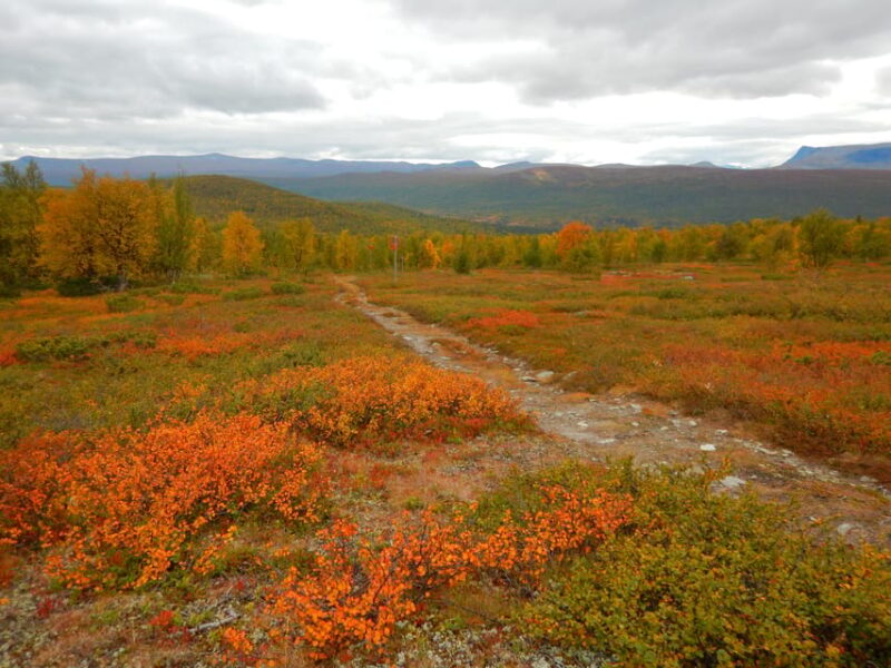 Vindelfjäll Nature Reserve: a Walk Through Reindeer Country - Participant Requirements