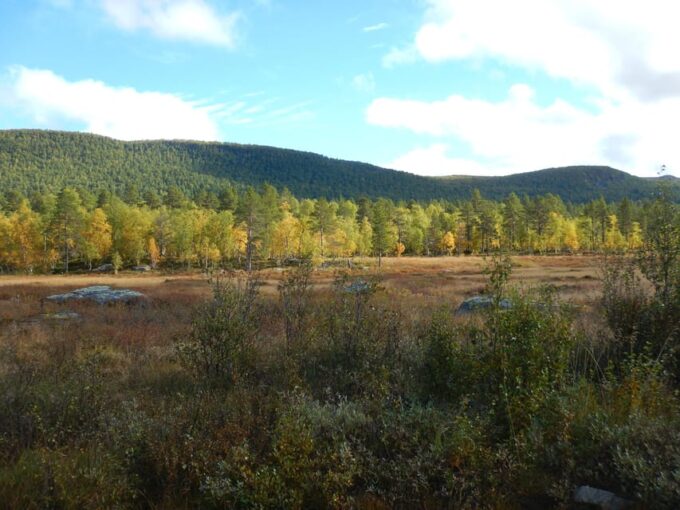 Vindelfjäll Nature Reserve: a Walk Through Reindeer Country - Hiking Routes and Trails