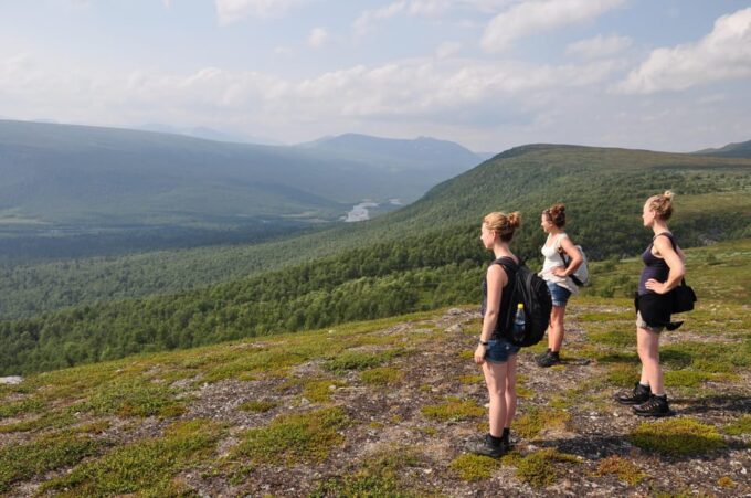 Vindelfjäll Nature Reserve: a Walk Through Reindeer Country - Wildlife and Vegetation